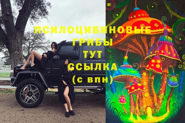 амф Новодвинск