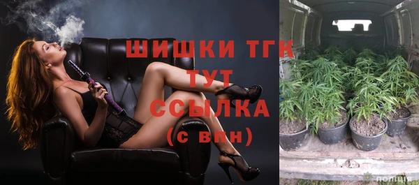 амф Новодвинск