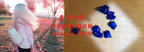 амф Новодвинск