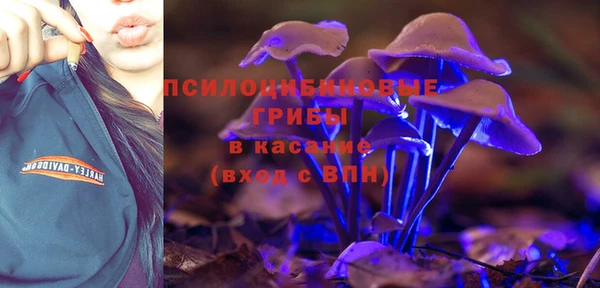 ALPHA PVP Новозыбков
