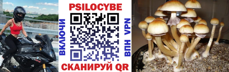 Псилоцибиновые грибы GOLDEN TEACHER  Исилькуль 